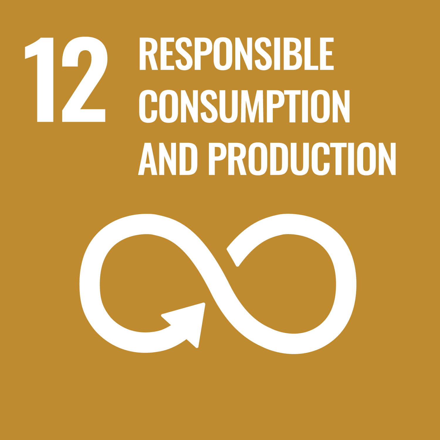 United Nations Sustainable Development Goal: 12 - Sustainable Consumption