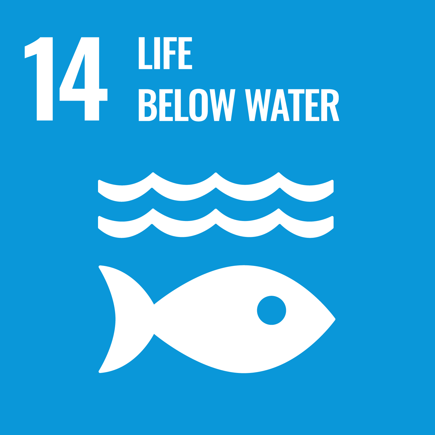 United Nations Sustainable Development Goal: 14 - conserve and sustainably use oceans