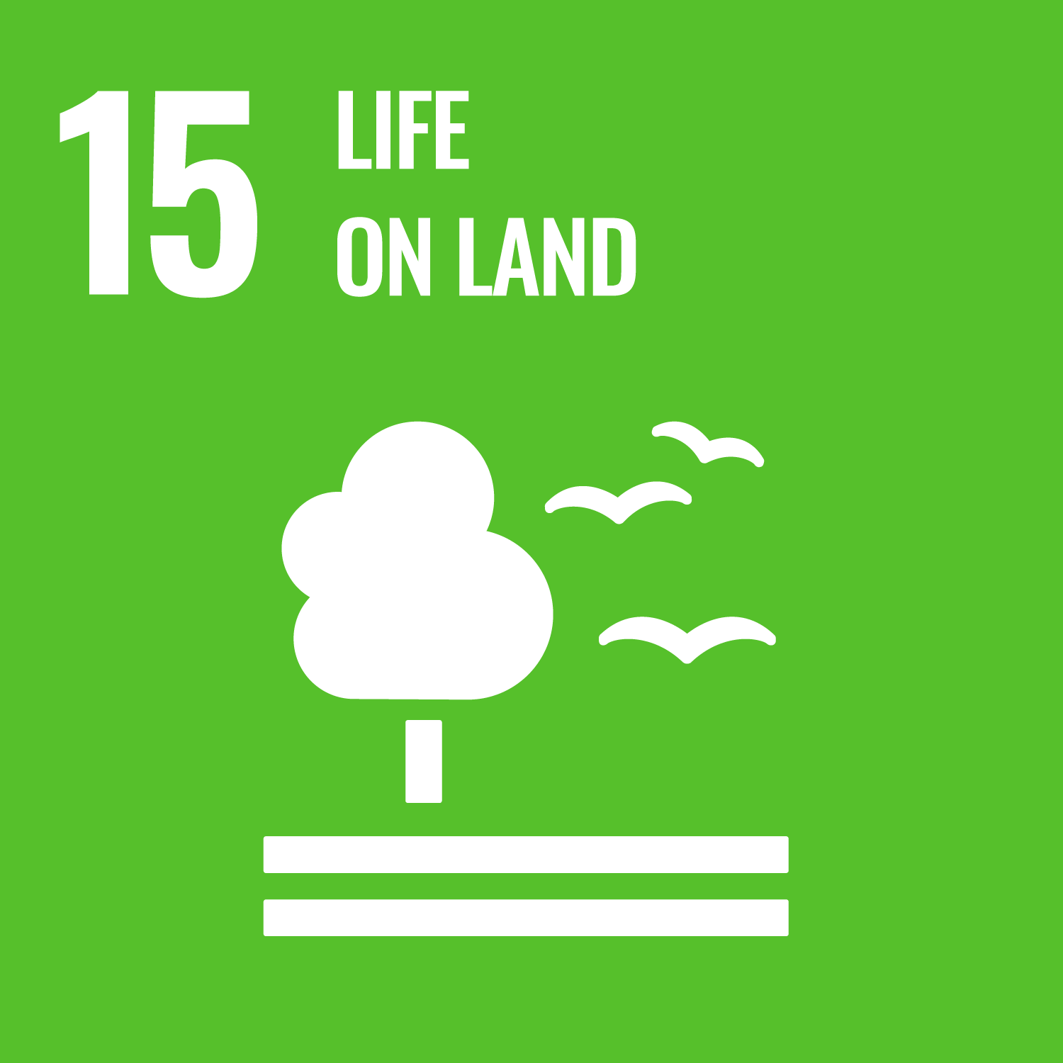 United Nations Sustainable Development Goal: 15 - Sustainably manage forests, combat desertification, halt and reverse land degradation, halt biodiversity loss