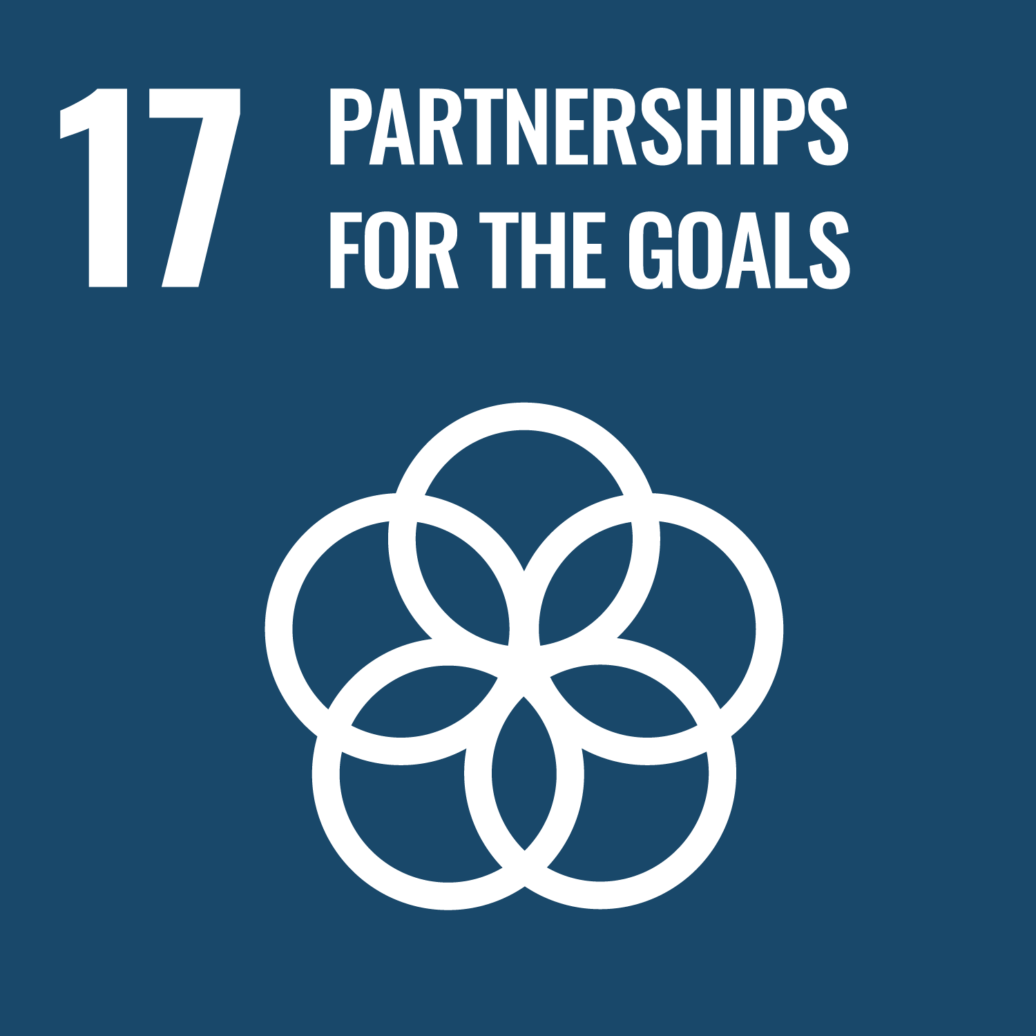 United Nations Sustainable Development Goal: 17 - Revitalize the global partnership for sustainable development