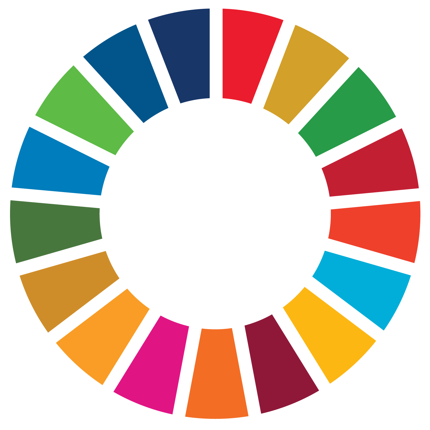 United Nations Sustainable Development Goal Wheel of color